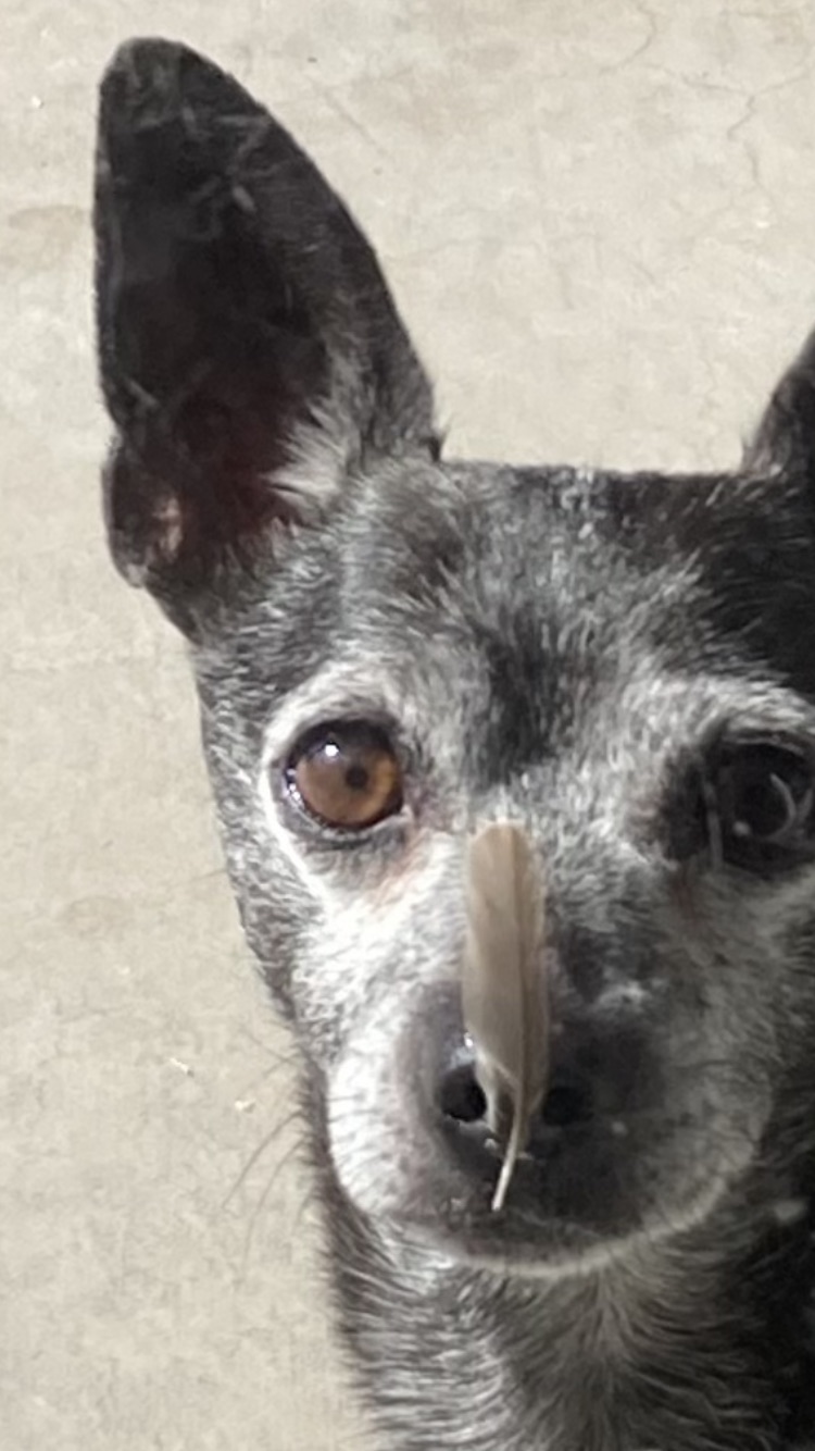 Remembering Cash