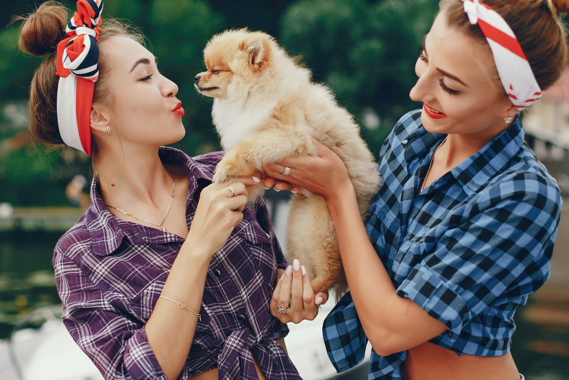 Helping Your Pet Feel Safe During Fireworks and Summer Storms