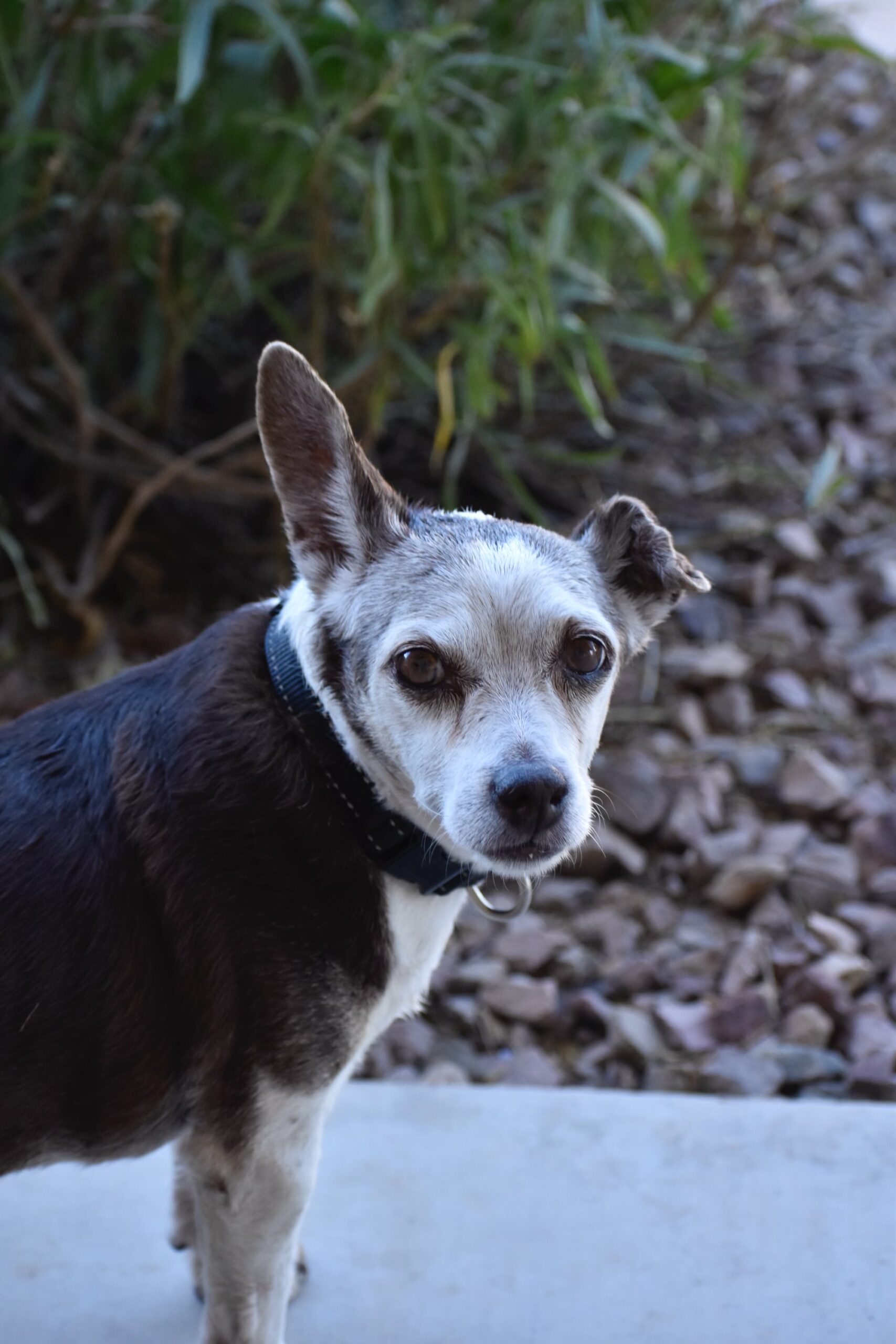 Remembering Milo
