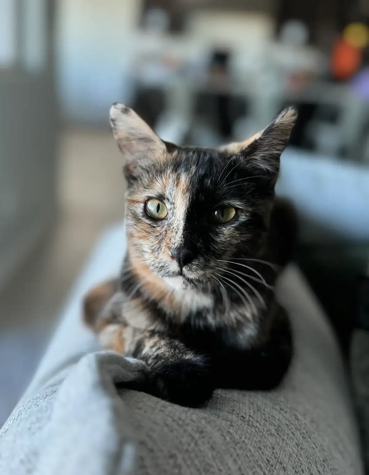 Delilah