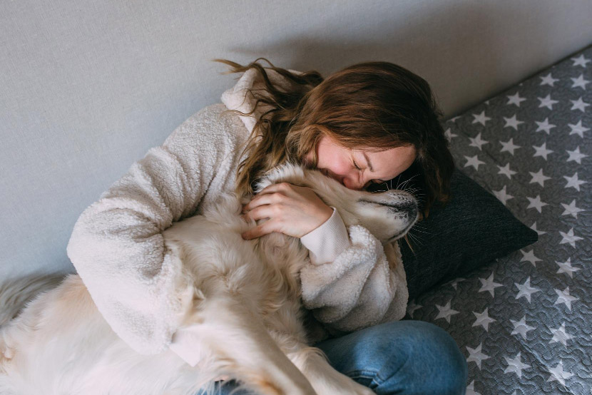 Helping Your Pet Build Confidence: Everyday Ways to Reduce Anxiety and Stress
