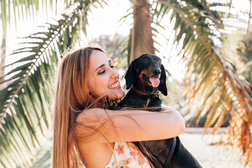 Stay Ahead of the Heat: A Pet Owner’s Guide to Preventing Heatstroke This Summer