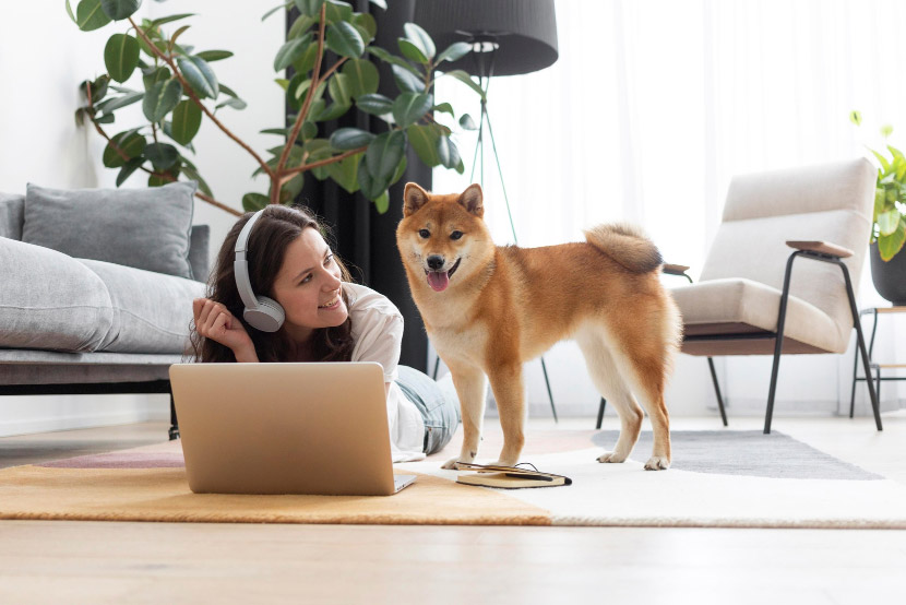 10 Pet Poisons Hiding in Your Home