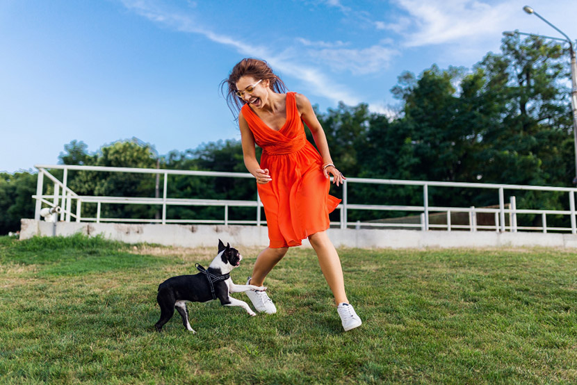 Kennel Cough & Your Dog: What Pet Parents Should Know for the Summer Season