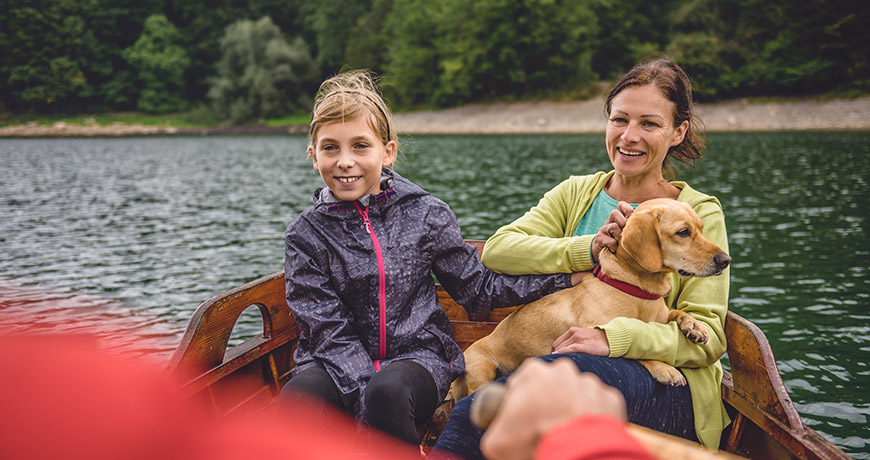 Understanding Seizures in Our Pets
