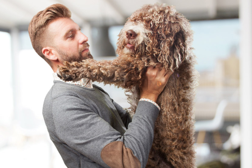Fur Season Is Here: Shedding Tips for Pet Owners in Queen Creek