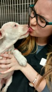 "Mila", a 10 week old pittie, loves giving kisses to everyone she meets!