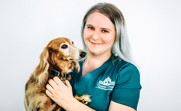 Veterinary Para Professional - Queen Creek Veterinary Clinic