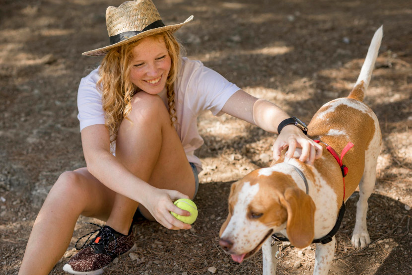 From Desert Trails to Family Road Trips: Keeping Your Pet Safe During Summer Travel
